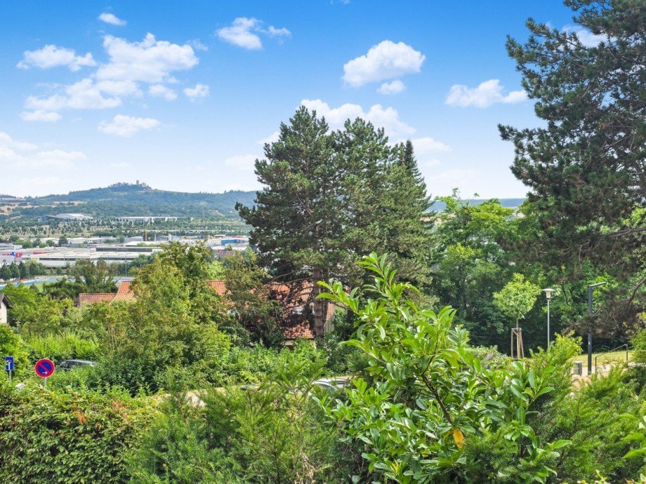 Garten Einfamilienhaus Sinsheim