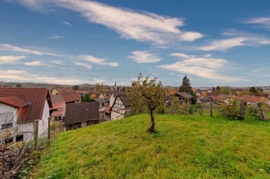 Garten Einfamilienhaus Sinsheim / Steinsfurt