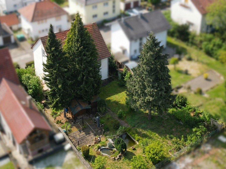 Gartenansicht Mehrfamilienhaus Sinsheim